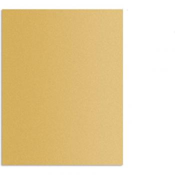 Plaque de cuisson réutilisable pour barbecue 40*33cm