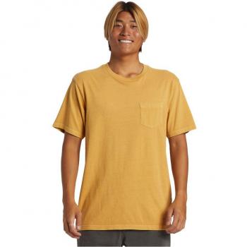 Quiksilver Saltwater Tee para Hombre