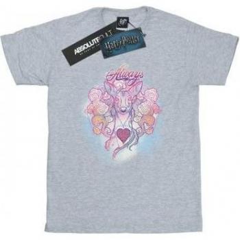 T-shirt Harry Potter per Ragazzi Always Doe