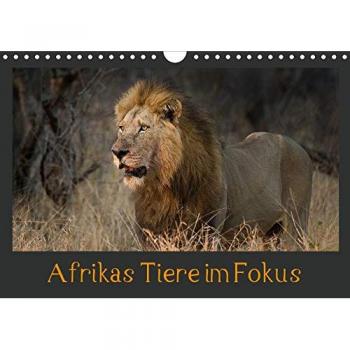 Afrikas Tiere im FokusAT-Version