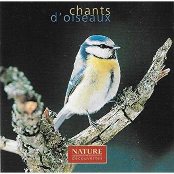 Ailes en chant