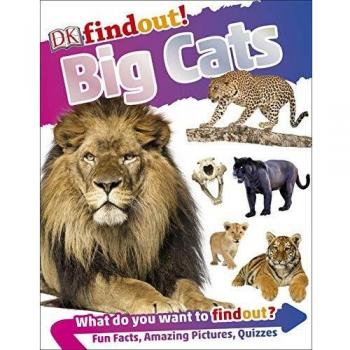 DKfindout! Big Cats