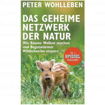 Das geheime Netzwerk der Natur