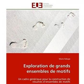 Exploration de grands ensembles de motifs: Un cadre générique pour la construction de résumés d’ensembles de motifs
