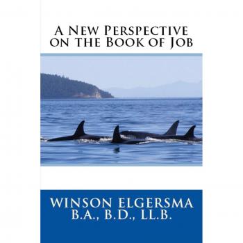 A new perspective on the book of job paperback