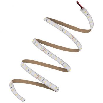 Ledvance Greenice Striscia LED LS V‑2000/865/5/IP66 500 cm dimmerabile