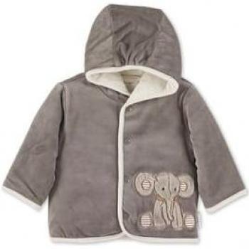 Giacca con cappuccio Nicki Eddy grigio Sterntaler