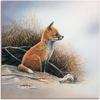 Fuchs im Wald – Artland-Wandbild (Leinwand/Poster, 1 Exemplar)