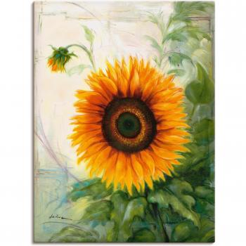 Artland Wandbild »Sonnenblume«, Blumenmotiv