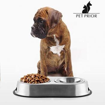 Pet Prior Non-Slip Food Bowl