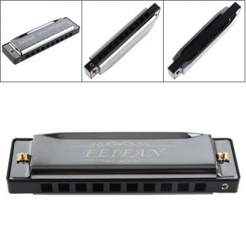 Stainless Steel 10-Hole Harmonica in Matte Black