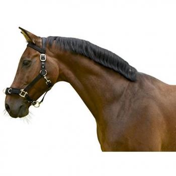 Kerbl Halfter Longierhalfter Full schwarz