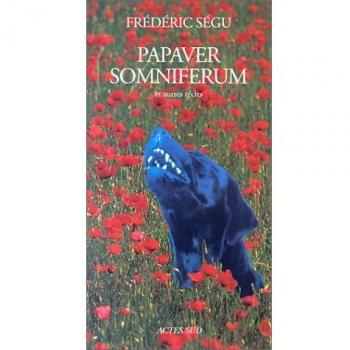 Papaver somniferum