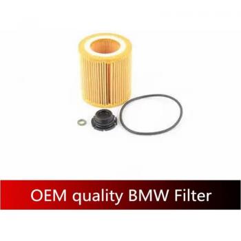 N20 2.0L BMW Oil Filter for 228i, 320i, 328i, 428i, 528i