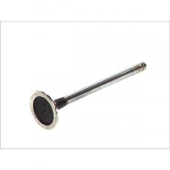 FRECCIA R6095/RCR Auslassventil