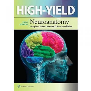 High-Yield(TM) Neuroanatomy (High-Yield Series) - [Version Originale]