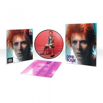 Space Oddity Vinyl 12 Album Picture Disc