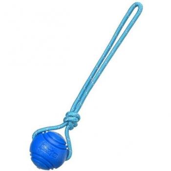 Puppy Chew Toy with Rope