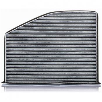 PURFLUX Pollenfilter AH195