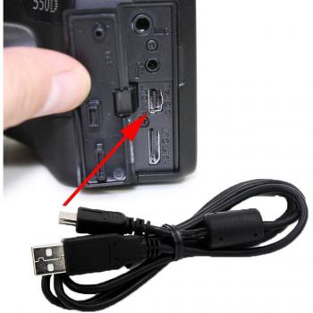 Câble de données USB 10 pcs pour Canon 5D, 7D, 10D, 20D, 450D, 500D, 550D, 600D, 650D, 700D