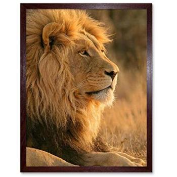 Jungle Monarch: 12x16 Lion Sunprint