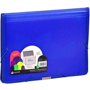 Carchive Blue File Organizer – 13 Slots, Efficient Design
