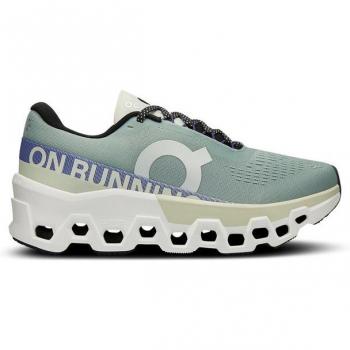 ON Damen Laufschuhe Cloudmonster 2 grau Größe: 38 1/2 3WE1011
