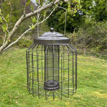 Squirrel Proof Hanging Bird Nut Feeder - Heavy Duty
