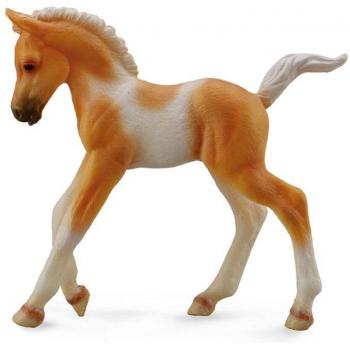 Collecta Puledro Palomino Di Colore Pinto - A Piedi (M)