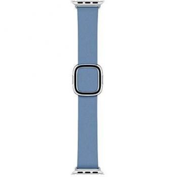 40M CORNFLOWER MODERN BUCKLE M