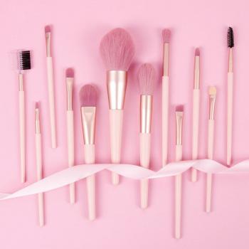 12-teiliges Make-up Pinsel Set Rosa