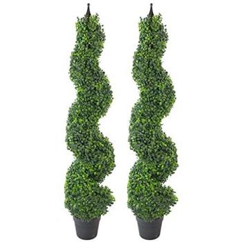 Green Haven - 120cm (4ft) Tall Boxwood Tower Trees