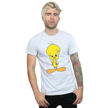 Camiseta Absoluto Cult Looney Tunes X-Large Negro con Tweety Irritado