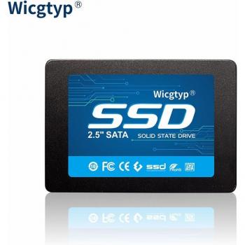 WICGTYP 2.5-inch 120GB SSD SATA III Internal SSD