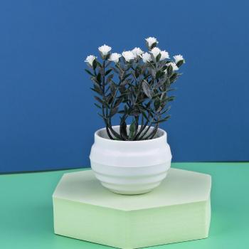 Bonsaï artificiel Aloe Vera