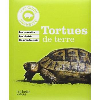 Hartmut Wilke Tortues De Terre
