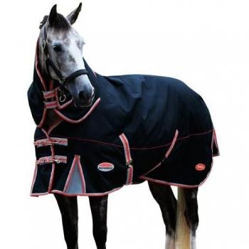 Weatherbeeta Comfitec Premier Plus Detachable Neck Therapy-Tec Lightweight Horse Sheet