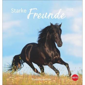 Starke Freunde Postkartenkalender 2025