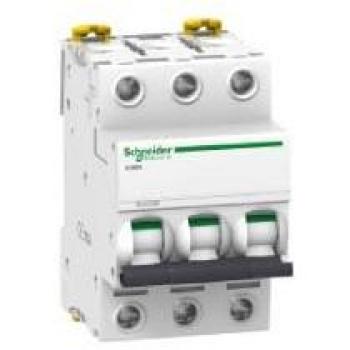 A9F79306 Schneider Electric Circuit Breaker (Model)