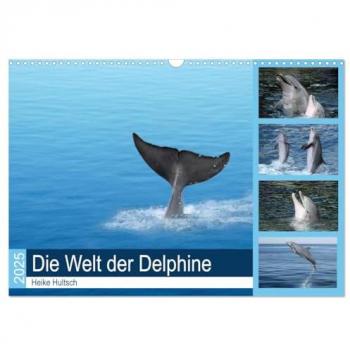 Die Welt der Delphine (Wandkalender 2025 DIN A3 quer) CALVENDO Monatskalender