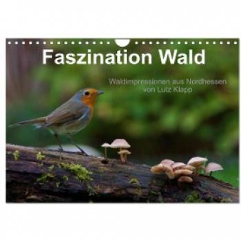 Faszination Wald. Waldimpressionen aus Nordhessen von Lutz Klapp (Wandkalender 2024 DIN A4 quer) CALVENDO Monatskalender