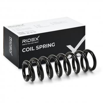 RIDEX 188C1076 Resorte de suspensión