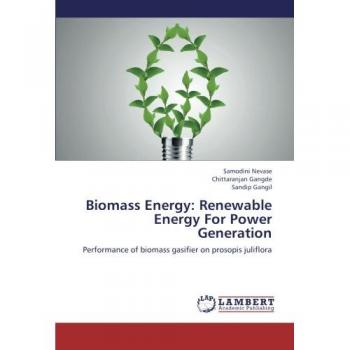 Biomass Energy: Renewable Energy For Power Generation