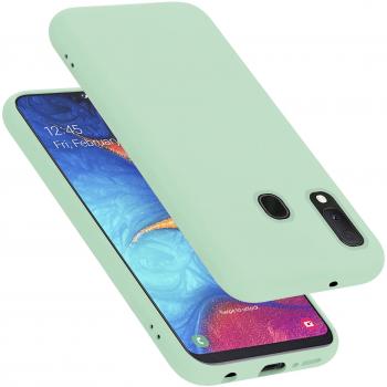 Housse Pratique Samsung Galaxy A10e/A20e Vert Clair
