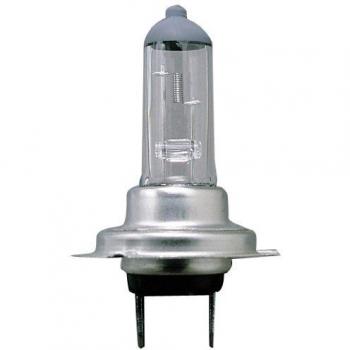 Sumex Px26D H7 12 Volt 55 Watt