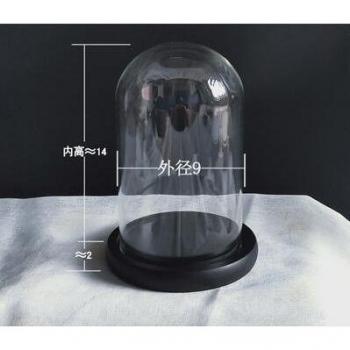 Medium Glass Dome with Black Base for Weddings