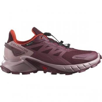 Salomon Supercross 4 Goretex Zapatillas de Trail para Mujer