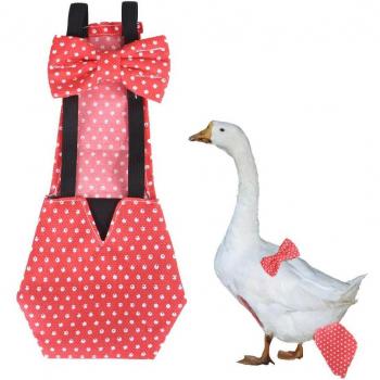 Poultry Physiological Pant - Adjustable Cloth Diaper