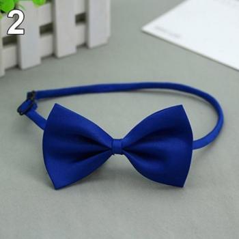 Adjustable Cat Bow Tie