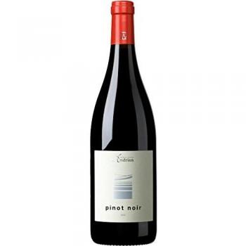 Andriano Estate Pinot Noir 2023